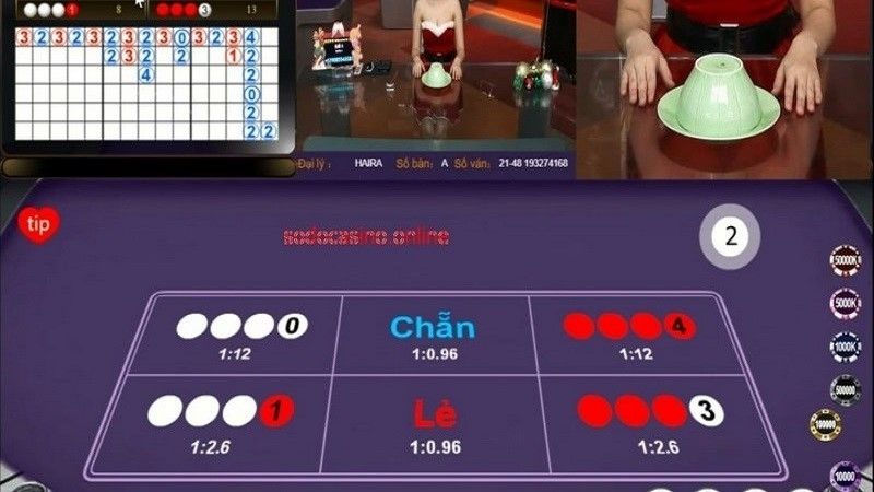 Bảng vị xóc đĩa hiển thị lịch sử cược
